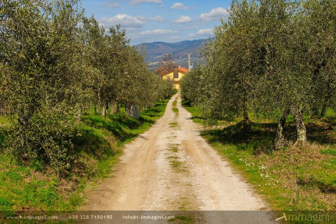 Bioagriturismo Poderaccio 瓦尔达诺的因奇萨 意大利